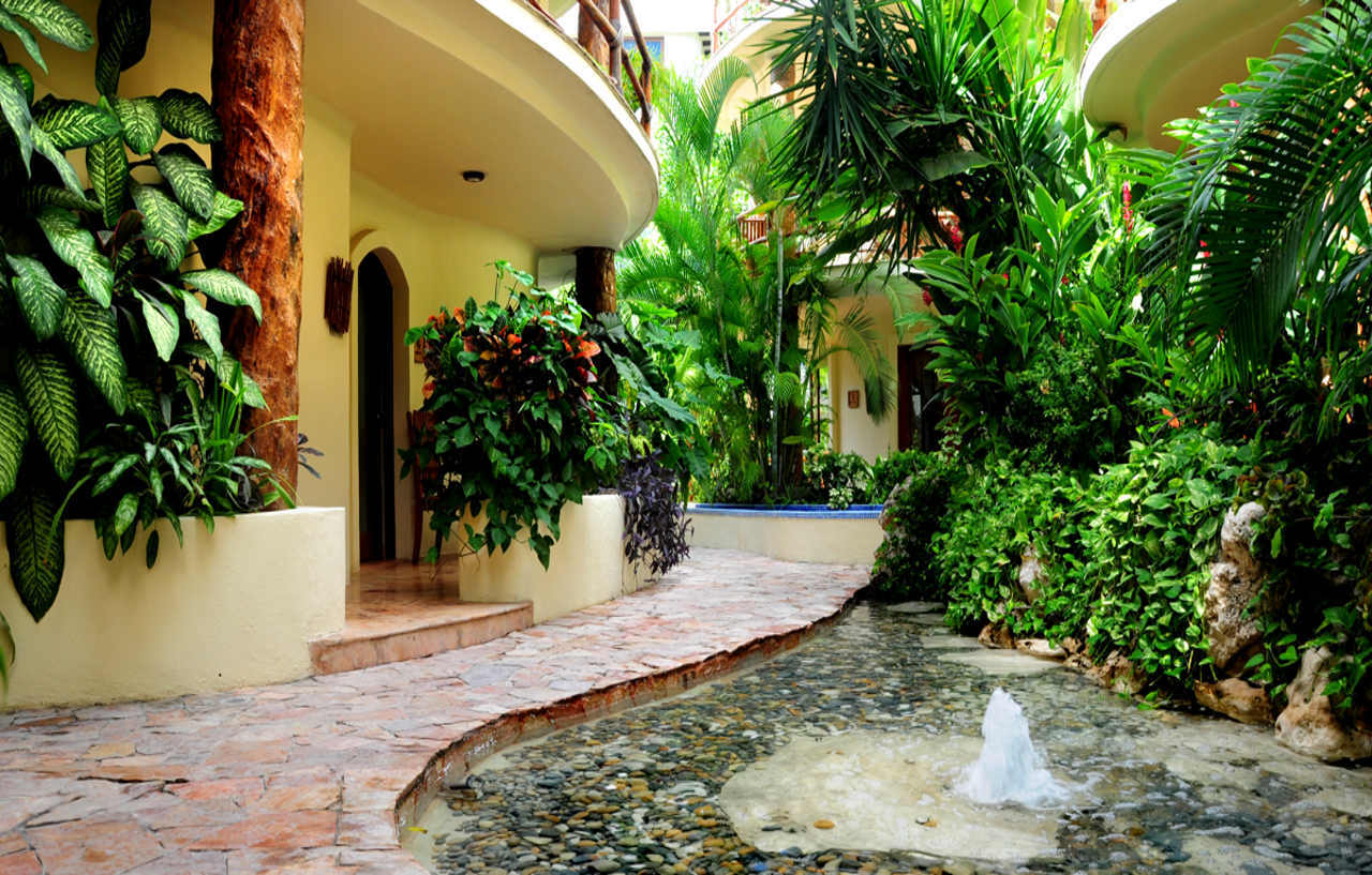 萨贝酒店和海滩俱乐部（Playa del Carmen）